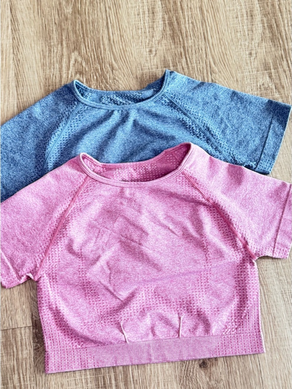 Seamless Crop Top Bundle (2) | Pink & Blue | Short Sleeve Athletic Tops | Size S